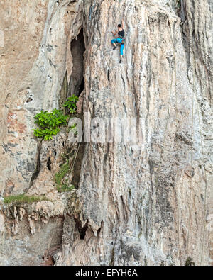 Junge weibliche Kletterer, Konzept zur Überwindung von Hindernissen. Stockfoto