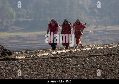 Weibliche nepalesischen Bauern die Körbe, wandern über ein Feld, in der Nähe von Panauti, Nepal Stockfoto