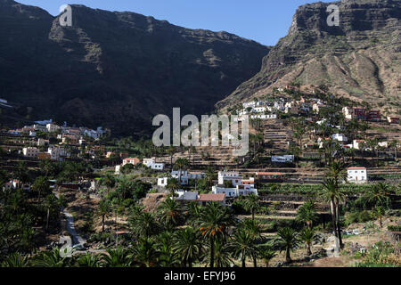 Kanarischen Dattelpalmen (Phoenix Canariensis), terrassierten Felder, Häuser, Lomo del Balo, Valle Gran Rey, La Gomera Stockfoto