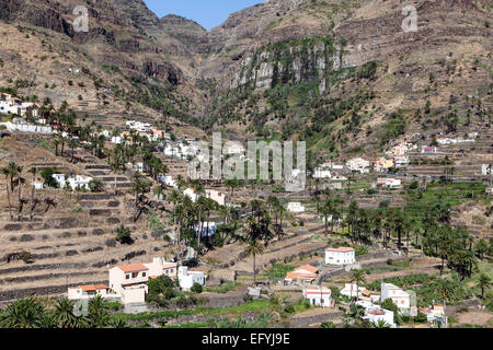 Kanarischen Dattelpalmen (Phoenix Canariensis), terrassierten Felder und Häuser von Lomo del Balo und La Vizcaina, Valle Gran Rey Stockfoto