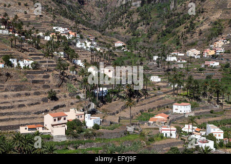 Kanarischen Dattelpalmen (Phoenix Canariensis), terrassierten Felder und Häuser von Lomo del Balo und La Vizcaina, Valle Gran Rey Stockfoto