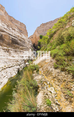 Landschaft mit tiefen Schluchten in der Negev-Wüste Stockfoto