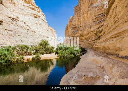 eine tiefe Schlucht in der Wüste Negev Stockfoto