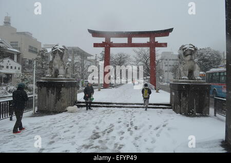 Ein Torii Gatter in Kamakura, Japan während eines Schneesturms. Stockfoto