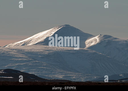 Bynack mehr und Bynack Beag Schnee bedeckt Gipfeln im Cairngorms National Park Highland Region Schottlands.   SCO 9568 Stockfoto