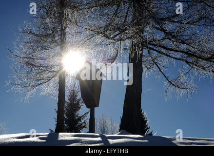 Mittenwald, Deutschland. 12. Februar 2015. Die Sonne scheint hell durch Schnee bedeckten Baum in der Nähe von Mittenwald, Deutschland, 12. Februar 2015. Foto: Angelika Warmuth/Dpa/Alamy Live News Stockfoto