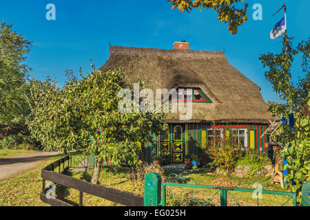 Typisches Haus mit Reetdach in Born, Fischland-Darß-Zingst, Mecklenburg-Western Pomerania, Deutschland, Europa Stockfoto
