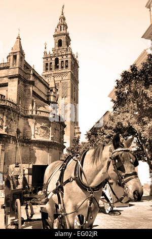 Beförderung in der Nähe von Kathedrale, Sevilla (Retro-Stil) Stockfoto