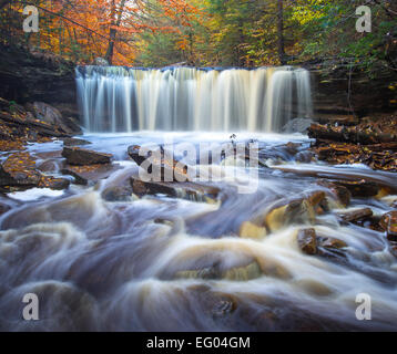 Ricketts Glen State Park, PA: Oneida fällt auf Küche Creek im Herbst Stockfoto