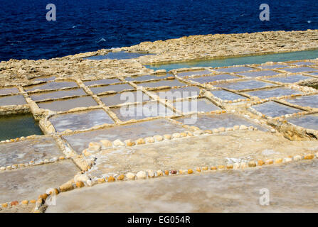 Salinen in Xwenji, Gozo Malta Stockfoto