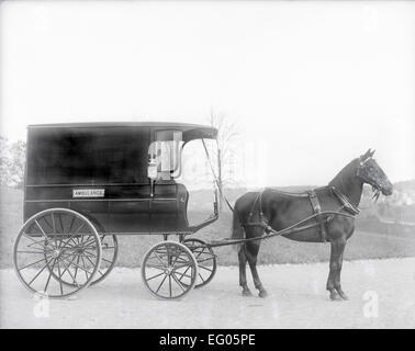 Antike 1900 Foto, Horse-drawn Krankenwagen Wagen, wahrscheinlich in Massachusetts, USA. Stockfoto