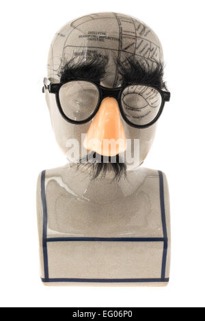 Einen wissenschaftlichen Phrenologie Kopf mit einer lustigen Nase und Gläser - weißer Hintergrund Stockfoto