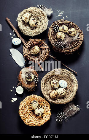 Ostern-Hintergrund mit Eiern und Nestern Stockfoto