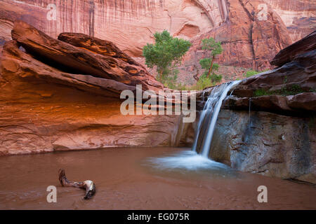 Ein Wasserfall im unteren Bereich der Coyote Gulch im Glen Canyon National Recreation Gebiet Utah. USA. Frühling. Stockfoto