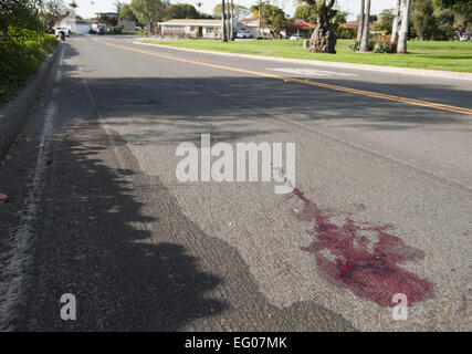 San Clemente, Kalifornien, USA. 2. Februar 2015. Orange County Sheriff Stellvertreter, sowie ein Ermittler aus der OCSD Crime Lab, reagierte auf einen Bericht der verdächtige Gegenstände auf der Straße, unter anderem, was offenbar eine große Menge an Blut und eine zerbrochene Brille, am Montag Morgen in San Clemente. Der Vorfall, am südlichen Ende von San Clemente Municipal Golf Course entlang der Avenida Santa Margarita, am vierten grün holte mehrere Sheriff Einheiten zusammen mit der Sheriffs Hubschrauber.---auf dem Foto, eine gelbe Linie von Orange County Sheriff links Depuites und OCSD Crime Lab Stockfoto