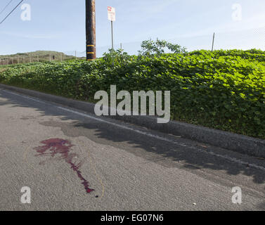 San Clemente, Kalifornien, USA. 2. Februar 2015. Orange County Sheriff Stellvertreter, sowie ein Ermittler aus der OCSD Crime Lab, reagierte auf einen Bericht der verdächtige Gegenstände auf der Straße, unter anderem, was offenbar eine große Menge an Blut und eine zerbrochene Brille, am Montag Morgen in San Clemente. Der Vorfall am südlichen Ende von San Clemente Municipal Golf Course entlang der Avenida Santa Margarita, auf dem vierten Green brachte mehrere Sheriff Einheiten zusammen mit der Sheriff Hubschrauber. ---Auf dem Foto ist eine gelbe Linie von Orange County Sheriff links Depuites und OCSD Crime Lab Stockfoto