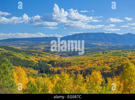 Gunnison National Forest, CO: Herbstfarben in Ohio Creek Valley und West Elk Mountains in West Elk Wildnis Stockfoto