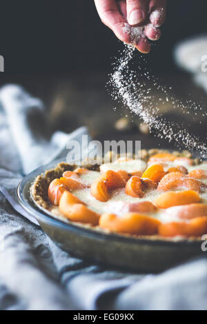 Aprikose Puddingtörtchen mit bröckeln Kruste dessert Stockfoto