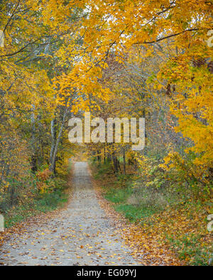 Parke County, IN: Feldweg im Herbst Stockfoto