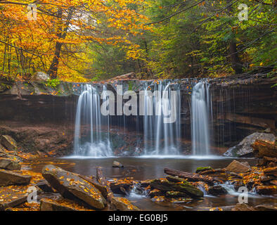 Ricketts Glen State Park, PA: Oneida fällt auf Küche Creek im Herbst Stockfoto