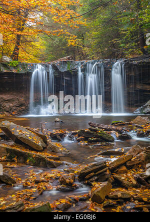 Ricketts Glen State Park, PA: Oneida fällt auf Küche Creek im Herbst Stockfoto