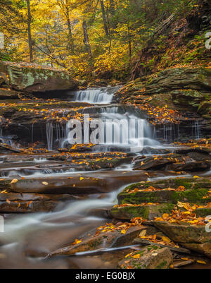 Ricketts Glen State Park, PA: Ein kleiner Wasserfall am Küche Creek im Herbst Stockfoto