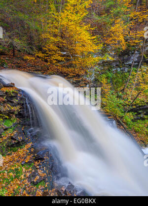 Ricketts Glen State Park, PA: Erie fällt im Herbst auf Küche Creek Stockfoto