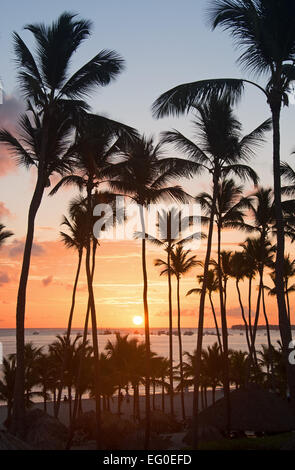 Dominikanische Republik. Palmen, die Silhouette gegen die aufgehende Sonne am Strand von Punta Cana. 2015. Stockfoto