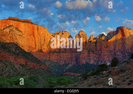 Sonnenaufgang über den Türmen der Jungfrau, Zion Nationalpark, Utah, USA Stockfoto