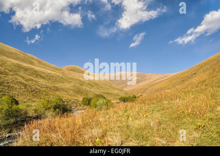 Malerischen Tal im grünen Wiesen in Kirgisistan Stockfoto