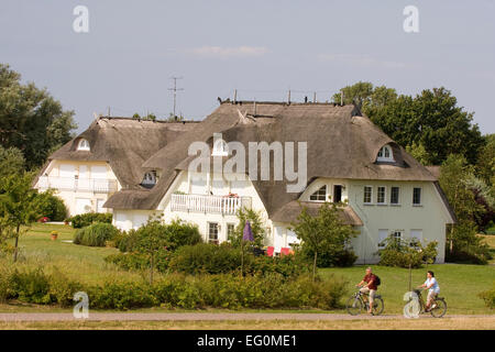 Strohgedeckten Hütten in Ahrenshoop auf dem Darß Stockfoto