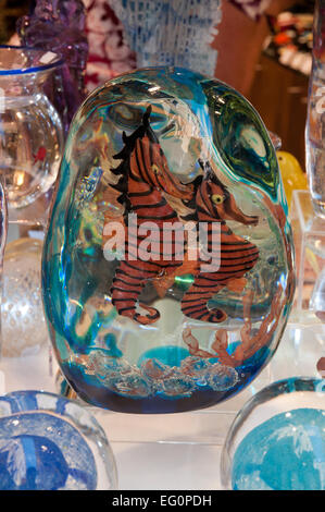 Murano Glas Kunstwerk zum Verkauf im Shop auf Calle Lungha Venedig Italien Darstellung Seepferdchen im aquarium Stockfoto