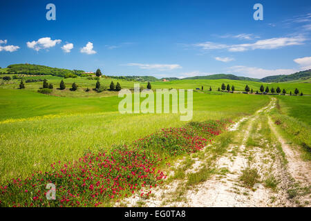 Toskana am Frühling Stockfoto