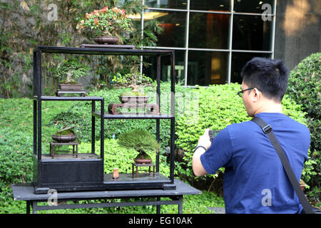 Ein Bonsai-Liebhaber, die Aufnahme eines Bonsai Pflanze wurde von philippinischen Bonsai Gesellschaft (PBSI) neben der Ayala Museum in Makati City als Teil des Monats Februar Kunst. PBSI fördern die Bonsai in den Philippinen und sie geben bekannt, dass im Jahr 2016 die Organisation Bonsai Club International (BCI) Show in Philippinen veranstaltet. © Gregorio B. Dantes Jr./Pacific Press/Alamy Live-Nachrichten Stockfoto