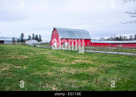 Rote Scheune in einem grünen Feld auf dem Lande. Stockfoto