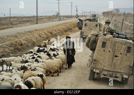 Britische Soldaten aus B-Flug, 27 Squadron, Royal Air Force Regiment führen einen Kampfeinsatz außerhalb Patrol Base Centurion in der Nähe von Kandahar Flugplatz, Afghanistan, 2. Januar 2010.  Techn. Sgt Efren Lopez Stockfoto