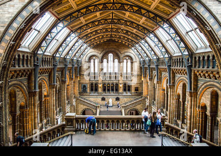 LONDON, UK - 14. Mai 2012: Menschen besuchen Natural History Museum in London. Mit mehr als 4,1 Millionen Besucher pro Jahr ist es die 4 Stockfoto