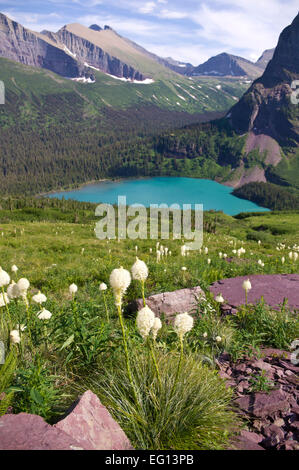 Grinnell Lake und Bear Grass, Glacier National Park, Montana, Vereinigte Staaten von Amerika. Stockfoto