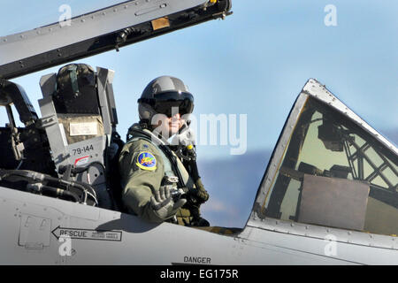 Lieutenant Colonel Robert Hetland taxis seiner a-10 Thunderbolt II zur Startbahn für einen Flug der Orientierung für den Wettbewerb Hawgsmoke 2010 13. Oktober 2010, in Boise, Idaho.  Hawgsmoke ist ein weltweit a-10 Bombardierung, Raketen und taktische Gunnery Wettbewerb alle zwei Jahre stattfindet. Oberst Hetland ist eine a-10-Pilot bei der Air Force Reserve Command 47. Fighter Squadron Barksdale Air Force Base, La.  Techn. Sgt Jeff Walston Stockfoto