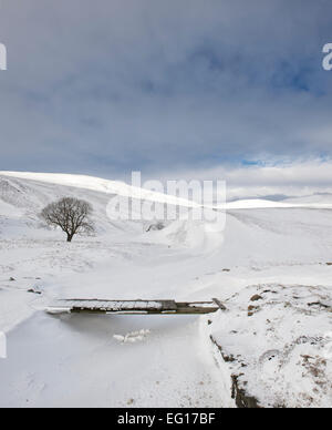 Fußgängerbrücke über Schnee bedeckt Stream in Braemar Pass, Cairngorm National Park im Winter. Schottischen Highlands. Schottland Stockfoto