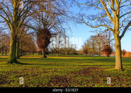 Malerische; Landschaften im Himley Hall & Park in Dudley, West Midlands - The Black Country...? Stockfoto