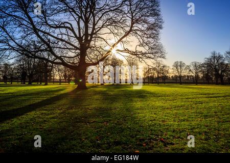 Malerische; Landschaften im Himley Hall & Park in Dudley, West Midlands - The Black Country...? Stockfoto