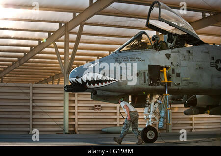 US Air Force Staff Sgt Jamie Case, Crewchief mit der 23. Aircraft Maintenance Squadron und Captain John Meyers von der 74. Jagdstaffel Verhalten vor dem Flug auf ein US-Air Force a-10 Thunderbolt II vor einem Trainingsmission während der Green Flag West 11-2 Nellis Air Force Base in Nevada, Dez. 6 trainieren überprüft. Sergeant Fall und Capt Meyers sind von Moody Air Force Base, Georgia, und werden in Nellis zur Unterstützung der Green Flag-West bereitgestellt. Green Flag-West bietet eine realistische Luft-Land Integration Trainingsumgebung für Kräfte zur Unterstützung weltweit Kampfhandlungen vorbereiten.  Techn. Sgt Micha Stockfoto