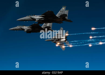 Ein US-Air Force F-15E Strike Eagle Flugzeuge aus der 335th Fighter Squadron löst Fackeln während einer lokalen Trainingsmission über North Carolina, 17. Dezember 2010.   Staff Sgt Michael B. Keller Stockfoto