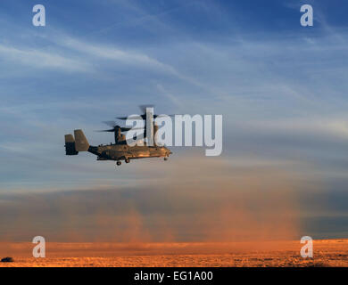 Ein US-Air Force CV-22 Osprey Tiltrotor Flugzeug zugewiesen 8. Special Operations Squadron steigt in Vorbereitung auf die Soldaten, Alpha Company, 4. Bataillon, 10. Special Forces Group über Seil 1. März 2011, während Smaragd Warrior 2011 bei Cannon Air Force Base Ausfahrt zugewiesen, N.M. Emerald Krieger ist eine jährliche, zwei Wochen Gelenk/kombinierter taktische Übung gesponsert von U.S. Special Operations Command, realistische Trainingsmöglichkeiten für konventionelle und spezielle Betriebe Kräfte zur Verfügung stellen.  Techn. Sgt. DeNoris Mickle Stockfoto