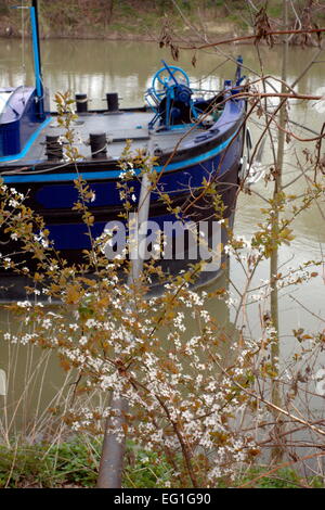 AJAXNETPHOTO 2006.-BOUGIVAL, FRANKREICH. FRÜHLING AM UFER DER SEINE. FOTO: JONATHAN EASTLAND/AJAX REF: 60904 303 Stockfoto