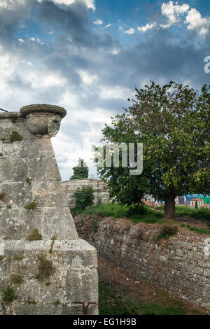 Mit Blick auf eine alte Mauer und ein Baum Stockfoto