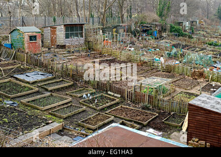 Kleingärten im Februar auf Warriston, Edinburgh, Schottland. Stockfoto