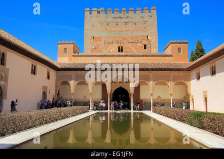 Gericht von Myrten, Alhambra, Granada, Andalusien, Spanien Stockfoto