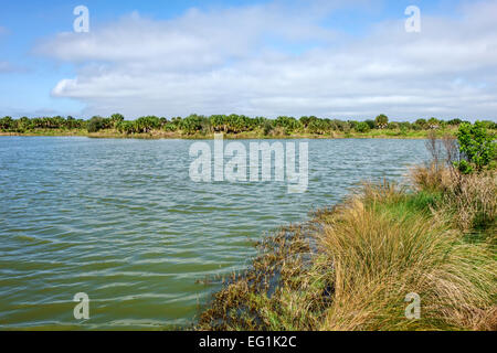 Sebastian Florida, North Hutchinson Orchid Island, Pelican Island National Wildlife Refuge, Wasser, Natur, Natur, Landschaft, Centennial Trail, Besucher reisen Stockfoto